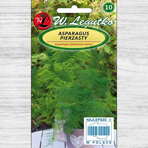 1 pac, Asparagus de ghiveci - Semințe: Mod de ambalare: 0.5 g