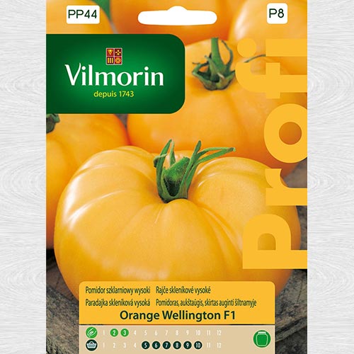 1 pac, Roșie Orange Wellington F1 - Semințe: Mod de ambalare: 0.1 g