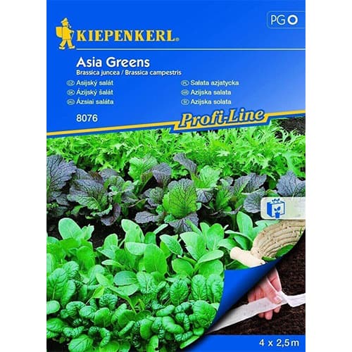 1 szt, Asia - Salate (Saatband) Kiepenkerl - Samen: Ilość w opakowaniu: 1 Stück