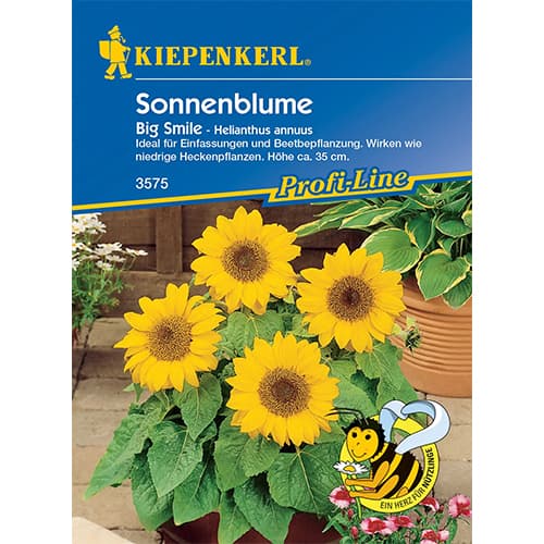 1 szt, Sonnenblume Big Smile - Samen: Ilość w opakowaniu: 1 Stück