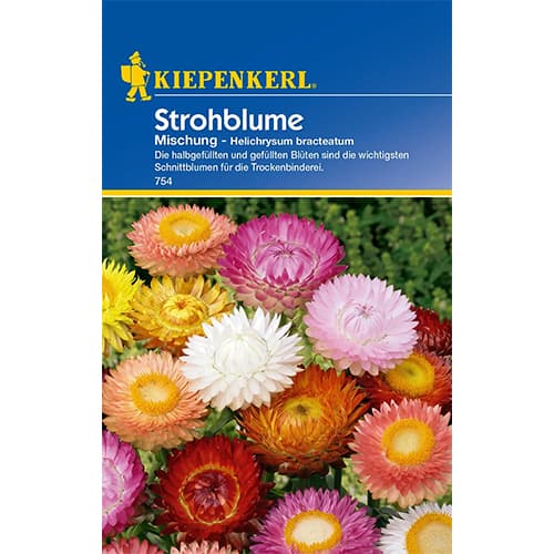 1 szt, Strohblume Mischung - Samen: Ilość w opakowaniu: 1 Stück