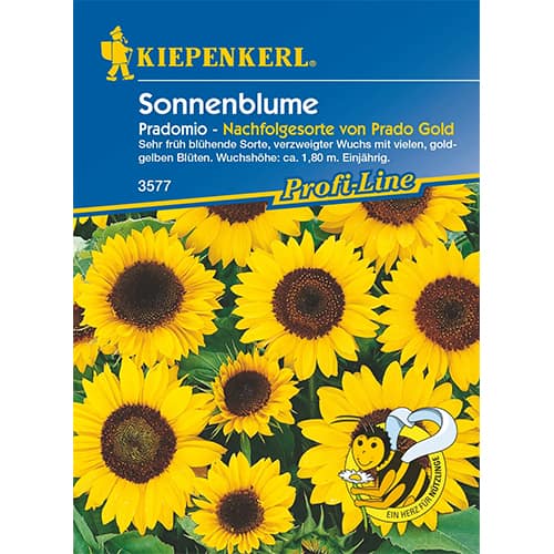 1 szt, Sonnenblume Pradomio - Samen: Ilość w opakowaniu: 1 Stück