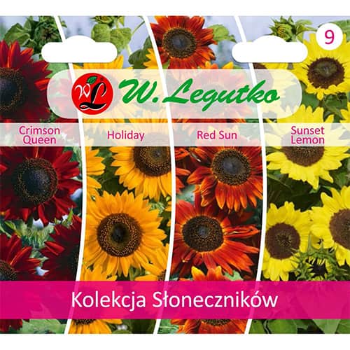 1 szt, Sonnenblumen - Kollektion - Samen: Ilość w opakowaniu: 1 Stück