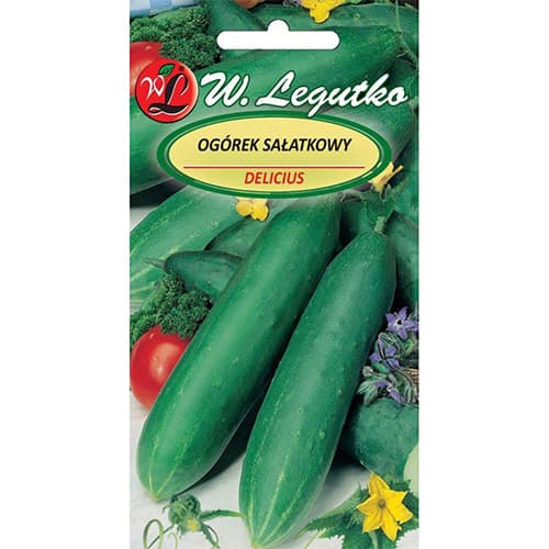 1 szt, Salatgurke Delicius - Samen: Ilość w opakowaniu: 5 g