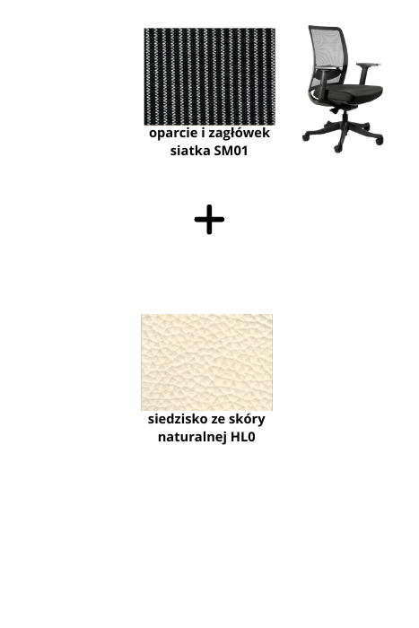 ANGGUN M fotel biurowy czarny stelaż, siatka, tkanina kolory (Kolor siedziska: skóra HL0, Kolor siatki: czarna SM01)