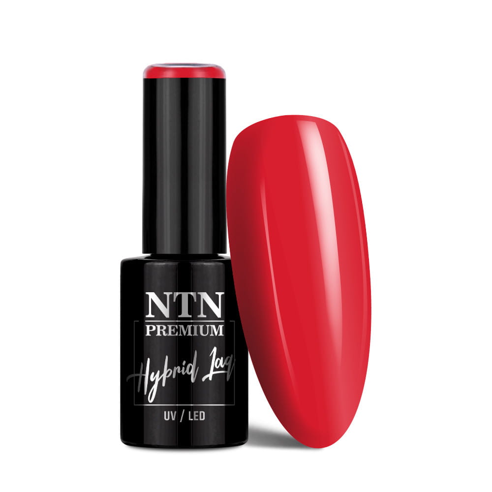 Lakier hybrydowy Ntn Premium After Midnight Collection 5 g Nr 66