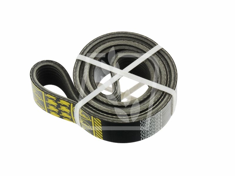 Pas Gates 0285251