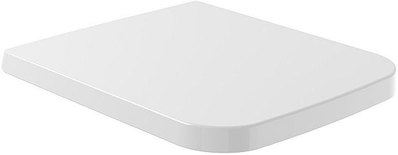 Darmowa Dostawa - Deska sedesowa Villeroy & Boch Finion 9M88S1R1
