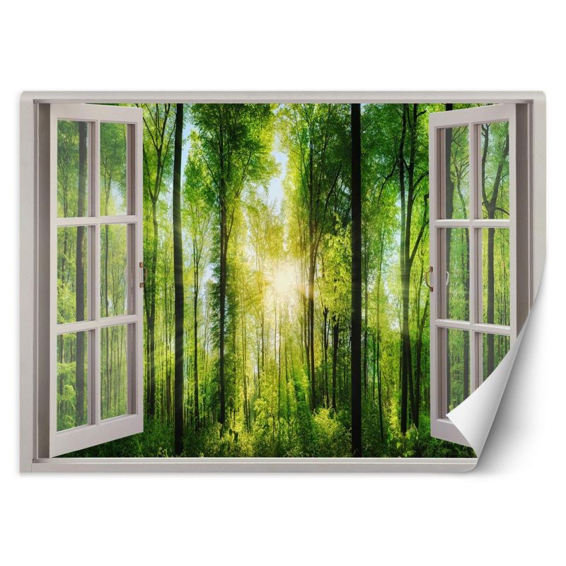 Fototapeta Feeby Widok Okno promienie słońca 140x100 1 szt