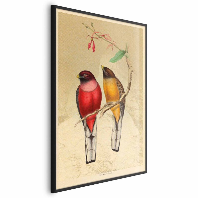 Plakat Artgeist Ptaki na gałązce 40x60 cm z ramą czarną 1 szt