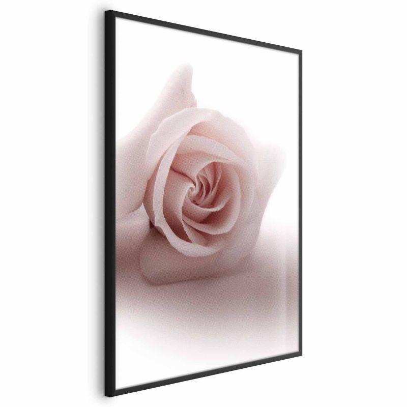 Plakat Artgeist Różany cień 40x60 cm z ramą czarną 1 szt
