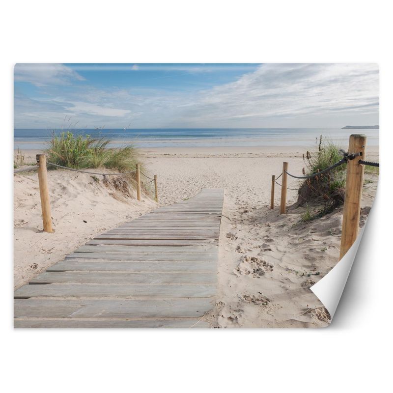 Fototapeta Feeby Droga na plażę krajobraz 368x254 1 szt