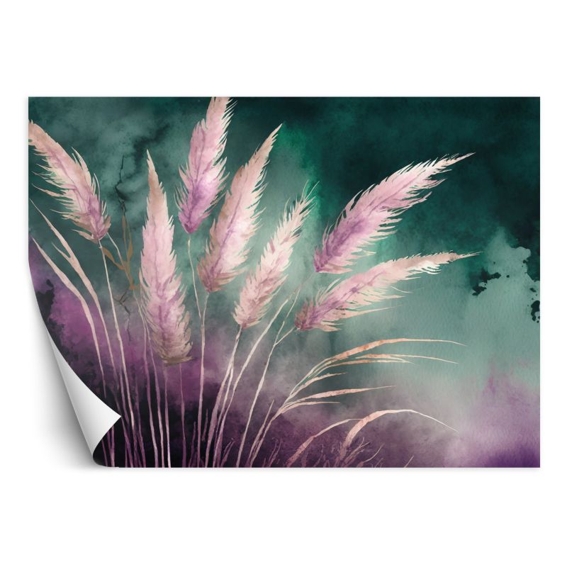 Fototapeta Feeby Trawa pampasowa Natura Botanika Abstrakcja 250x175 1 szt