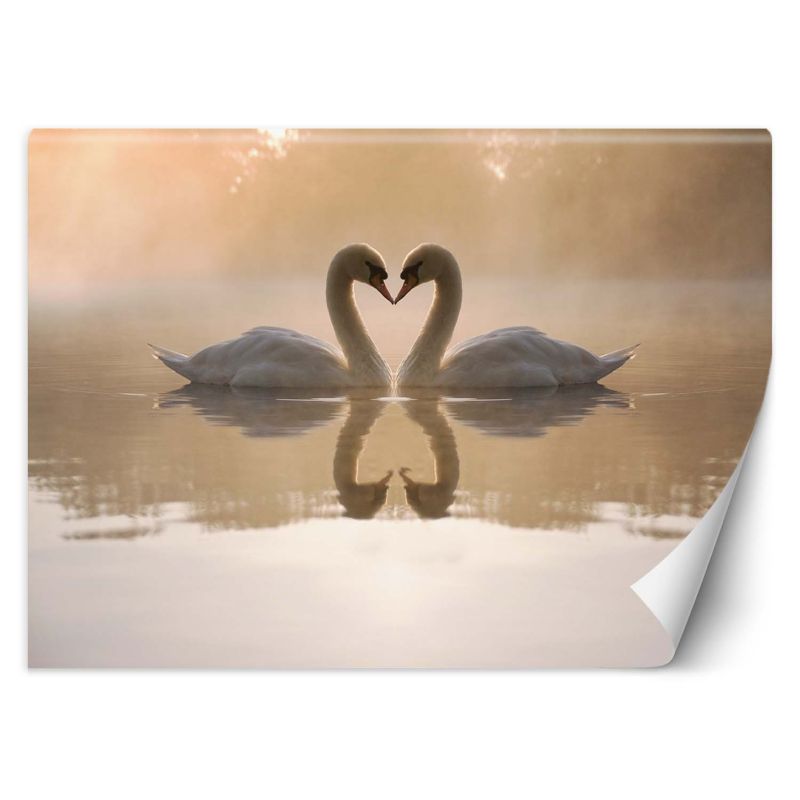Fototapeta Feeby Łabędzie jezioro 400x280 1 szt