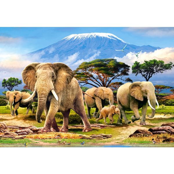 Castorland Puzzle 1000 el. C-103188 KILIMANJARO