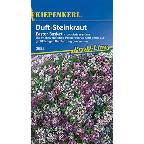 1 pac, Alyssum Easter Basket Kiepenkerl - Semințe: Mod de ambalare: 1 pac