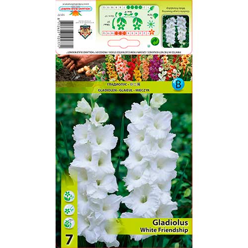 7 cib, Mečík White Friendship - : Monžstvo balíkov: 7 cib