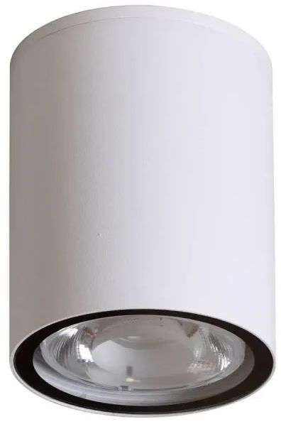 Italux Fano lampa podsufitowa zewnętrzna 1x6 W biały piaskowany OPN-2006-4K