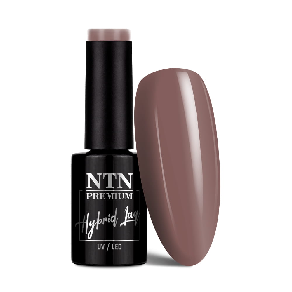 Lakier hybrydowy Ntn Premium Milkshake 5g Nr 312