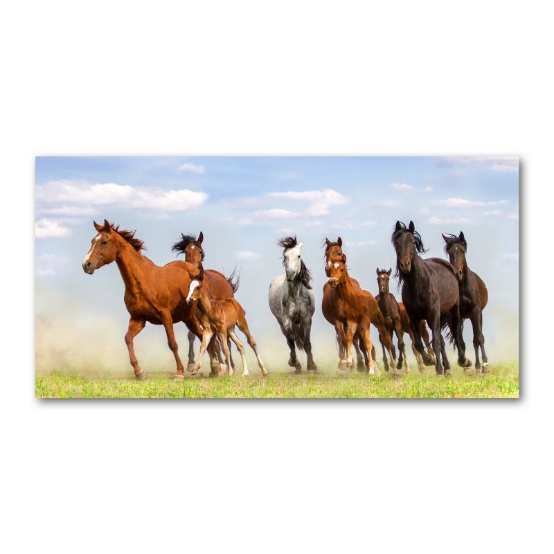 Obraz canvas Tulup Konie w galopie 125x50 cm 1 szt.