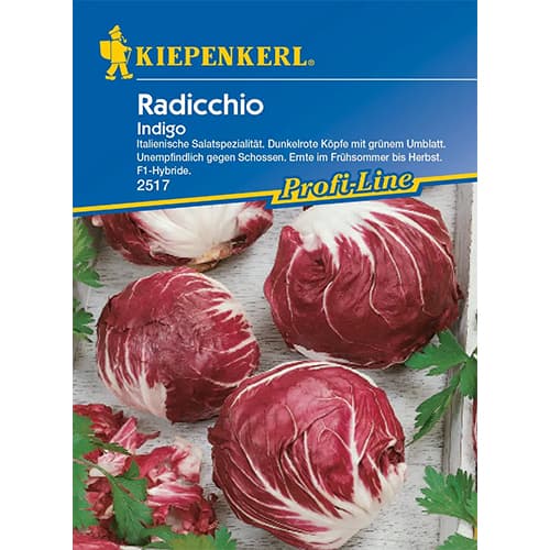 1 pac, Cicoare roșie (radicchio) Indigo - Semințe: Mod de ambalare: 1 pac