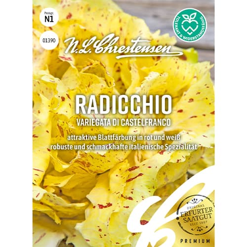 1 pac, Cicoare albă (radicchio) Variegata di Castelfranco - Semințe: Mod de ambalare: 1 pac