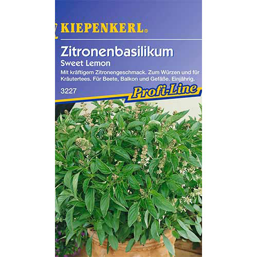 1 ob, Bazalka citronová Sweet Lemon - : Monžstvo balíkov: 1 ob