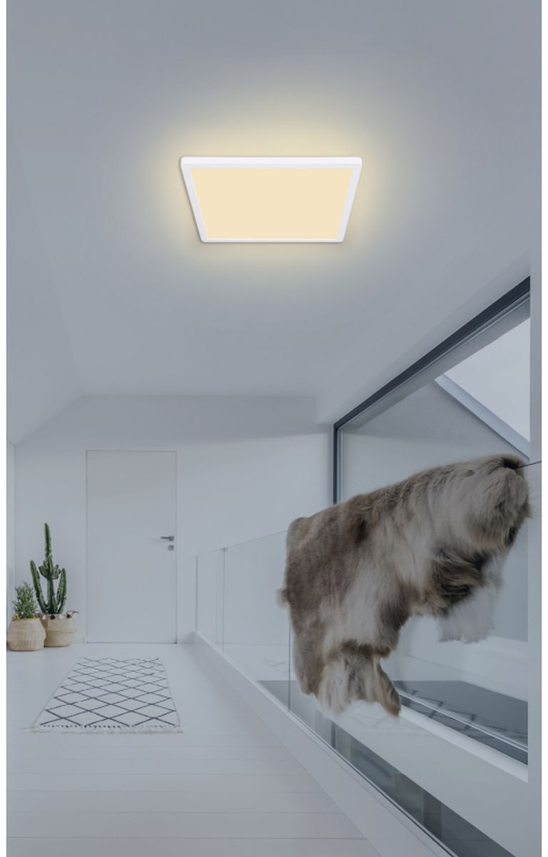 Globo Lighting Sapana plafon 1x18W LED biały/satynowy 41563-18W