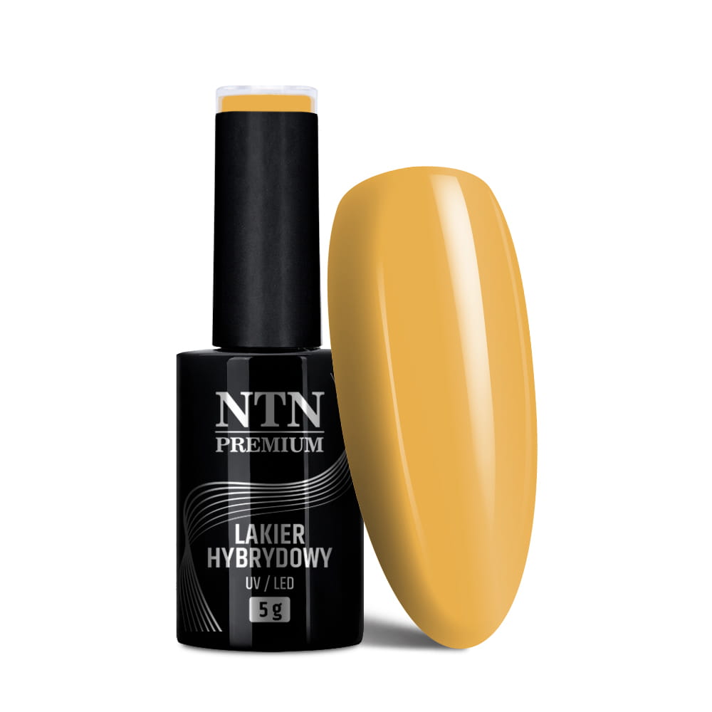 Lakier hybrydowy Ntn Premium Seductive Collection 5 g Nr 129