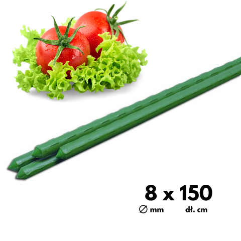 Tyczka ogrodowa stalowy palik do pomidorów 0,8cm x 150cm 10szt.
