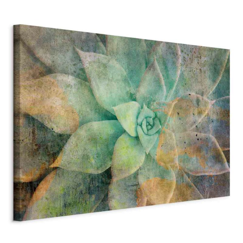 Obraz Artgeist Tonacje rozkwitania 60 x 40 cm flizelina 1 szt