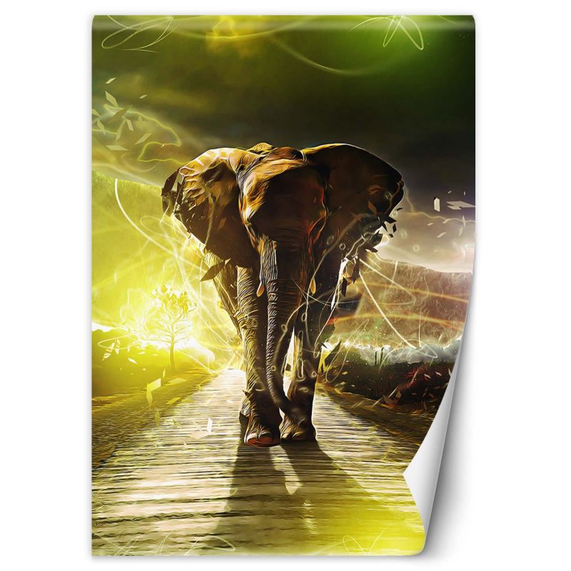 Fototapeta Feeby Słoń na drodze abstrakcja 150x210 1 szt