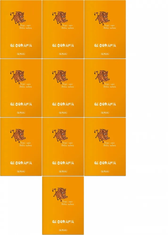 10x Zeszyt przedmiotowy w kratkę Herlitz ECO Geografia, A5, miękka oprawa, 60 kartek, pomarańczowy