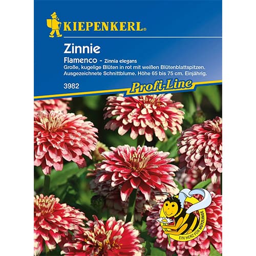 1 pac, Zinnia (Cârciumăreasă) Flamenco - Semințe: Mod de ambalare: 1 pac