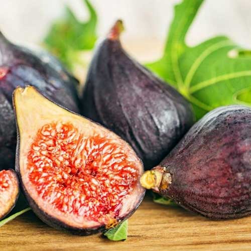 1 saz, Fíkovník Royal Black - : Monžstvo balíkov: 1 saz