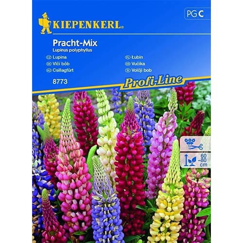 1 szt, Csillagfürt Splendid, színkeverék - Magok: Mod de ambalare: 1 db