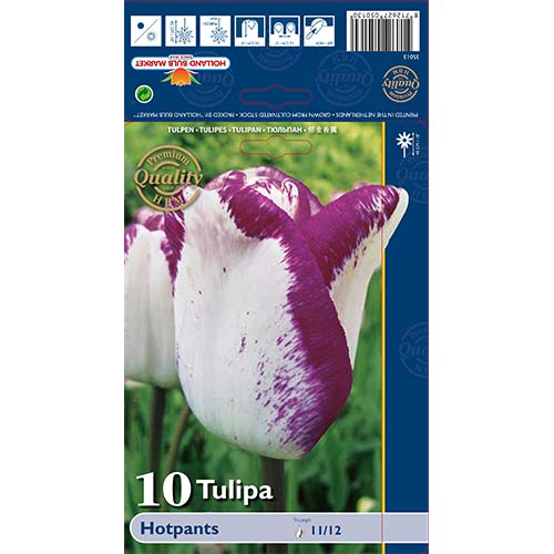 10 Stück, Tulpe Hotpants - Blumenzwiebeln: Ilość w opakowaniu: 10 Stück