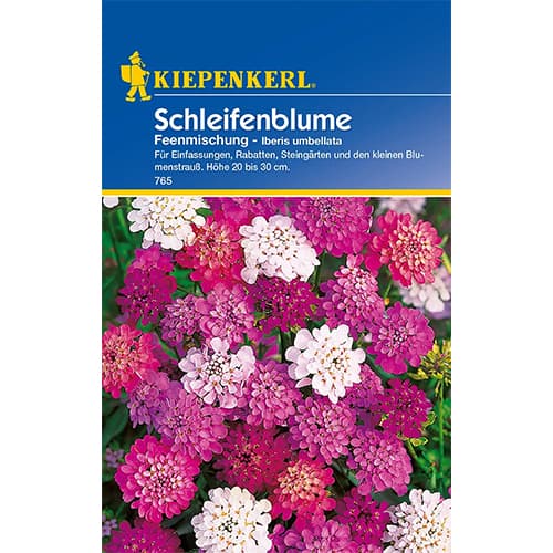 1 szt, Schleifenblume Iberis Feenmischung - Samen: Ilość w opakowaniu: 1 Stück