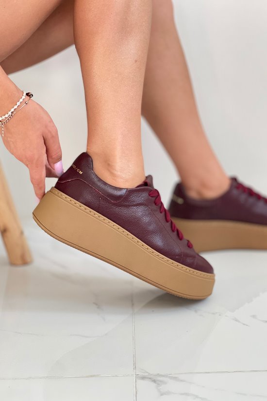 Sneakers SN41 - 1D Bordowy