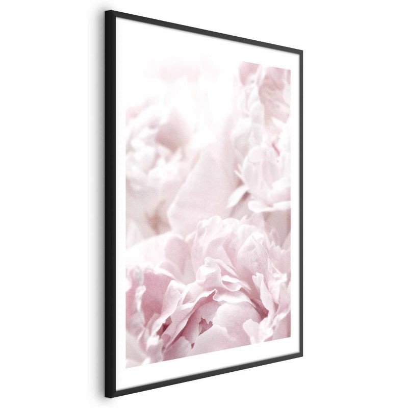 Plakat Artgeist Puszyste peonie 40x60 cm z ramą czarną 1 szt