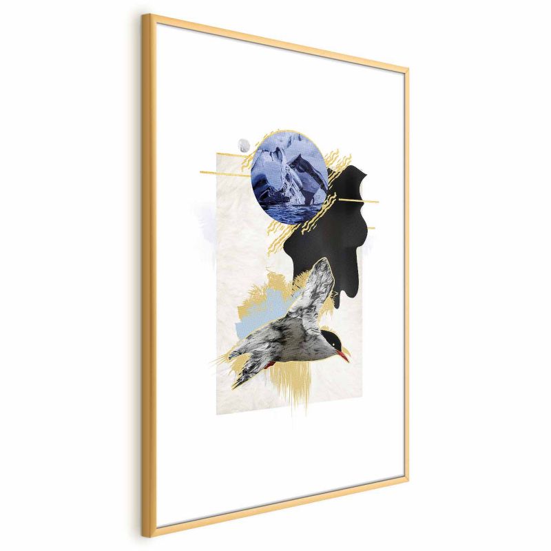 Plakat Artgeist Rybitwa antarktyczna 21x30 cm z ramą złotą 1 szt