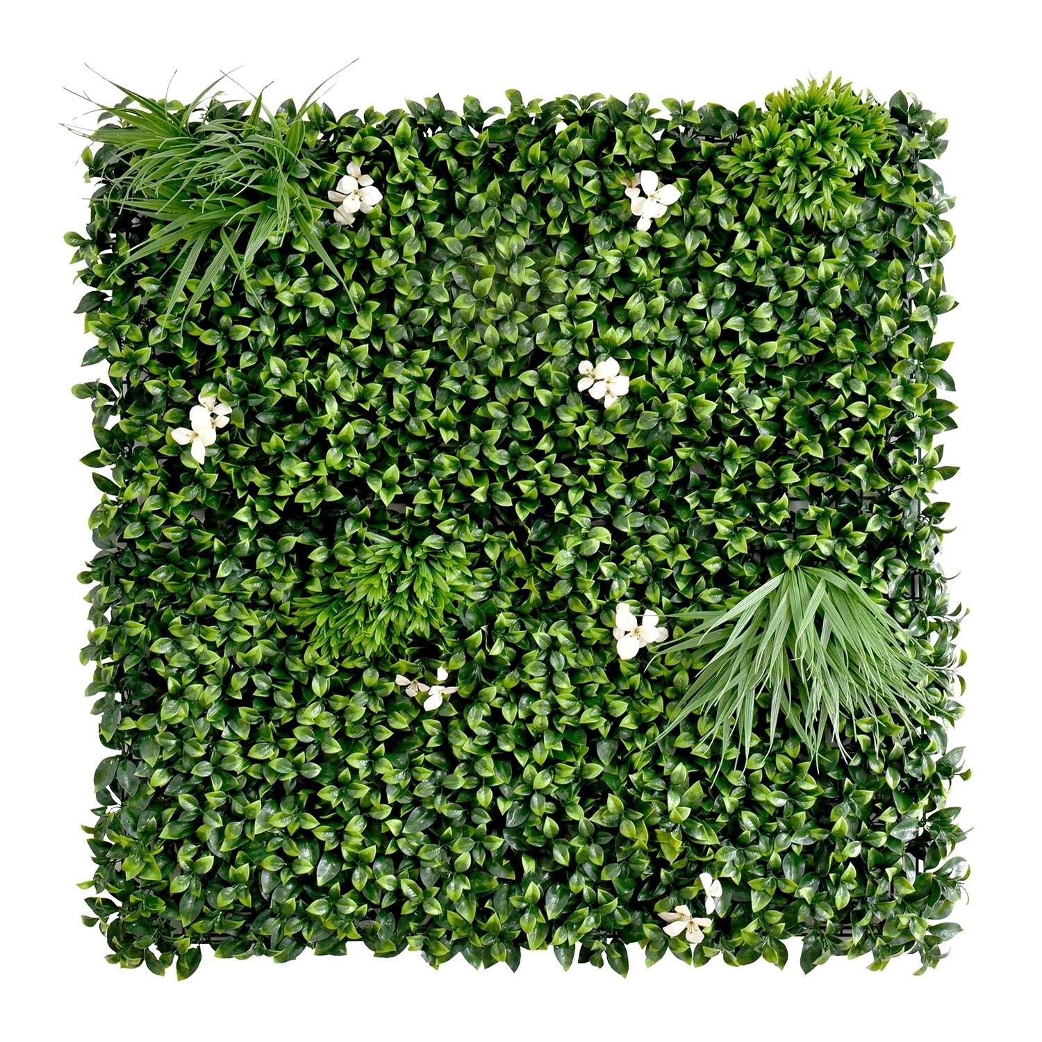Panel Zielona ściana gardenia 100 x 100 cm