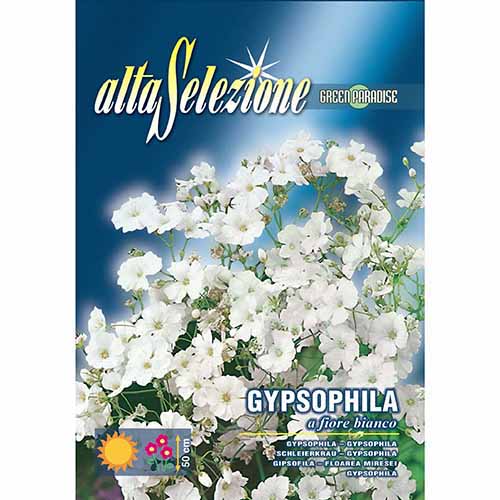 1 pac, Floarea miresei (Gypsophylla) cu flori albe - Semințe: Mod de ambalare: 1.5 g