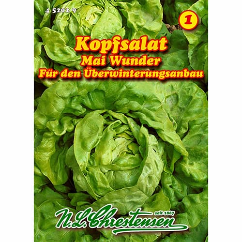 1 szt, Saláta Mai Wunder - Magok: Mod de ambalare: 1 db