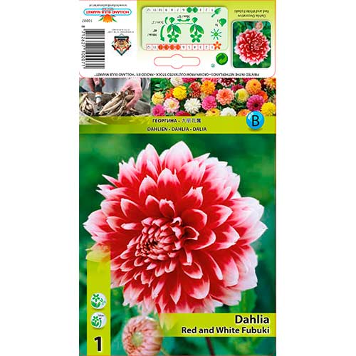 1 cib, Jiřina Red and White Fubuki - : Monžstvo balíkov: 1 cib