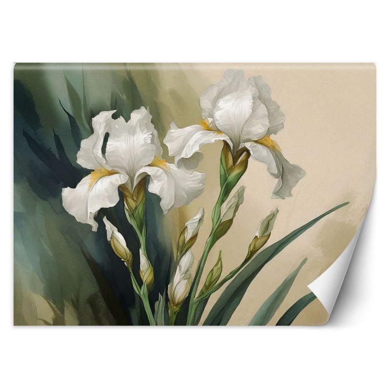 Fototapeta Feeby Białe kwiaty akwarelowe 100x70 1 szt