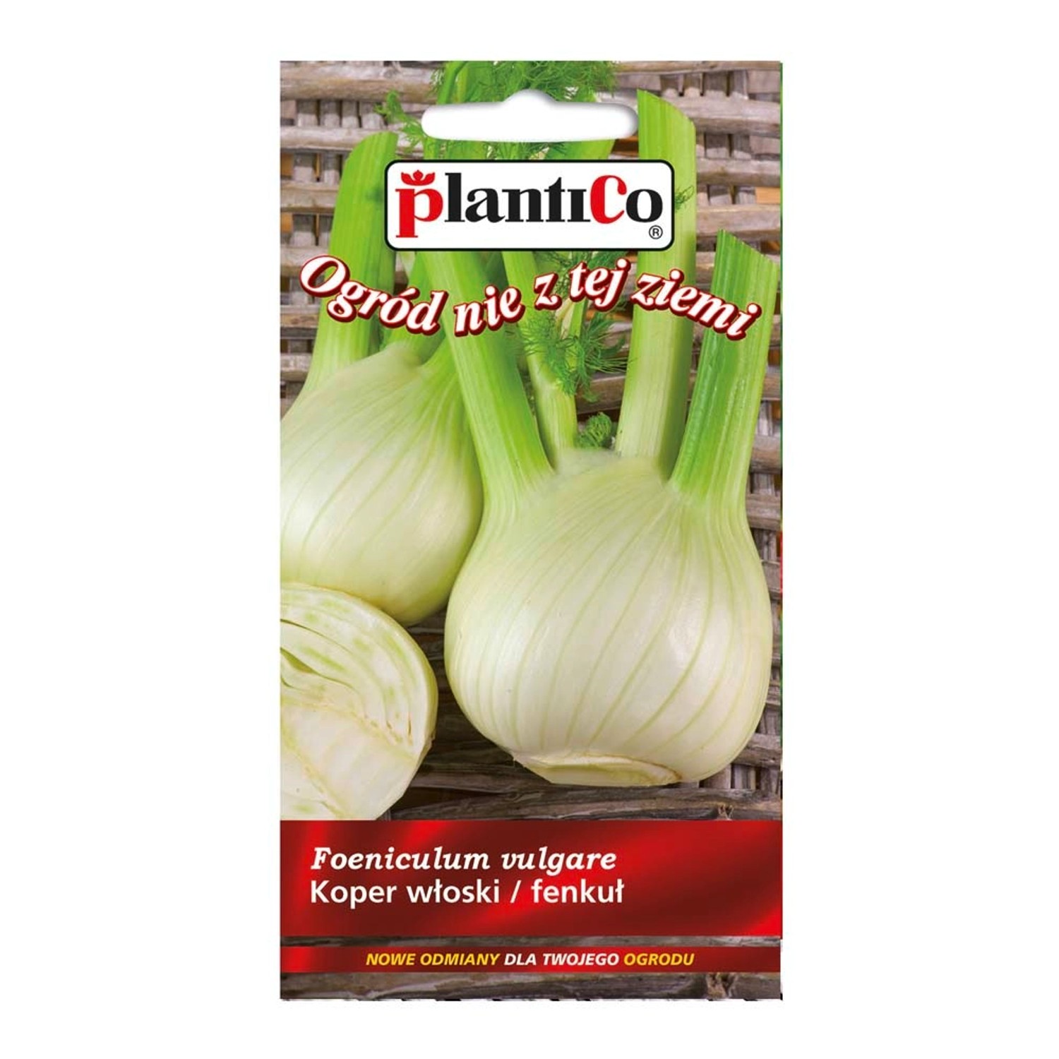 Fenkuł