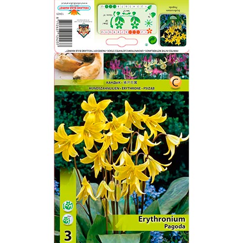 3 buc, Erythronium Pagoda - Bulbi: Mod de ambalare: 3 buc