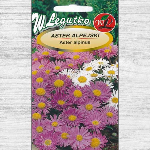 1 pac, Aster alpin albastru Legutko - Semințe: Mod de ambalare: 0.3 g
