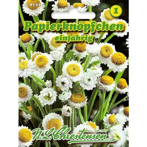 1 szt, Papierknöpfchen einjährig - Samen: Ilość w opakowaniu: 1 Stück